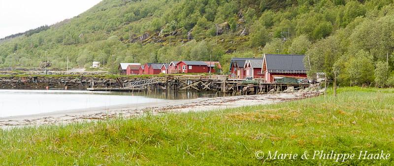 Storvik 1773.jpg - Maisons de pêcheurs à Storvik, le long de la R.V. 17 (Kystriksveien, Norvège, juin 2012)